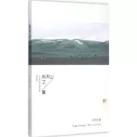 正版新书]东天山之麓王京安9787535482808