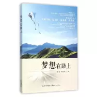 正版新书]梦想在路上肖娟//刘安晴9787535484109