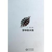 正版新书]梦中的火焰/许梅许梅9787535468840
