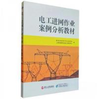 正版新书]电工进网作业案例分析教材国家能源局华东监管局、上海