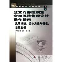 正版新书]企业内部控制暨全面风险管理设计操作指南(风险框架设