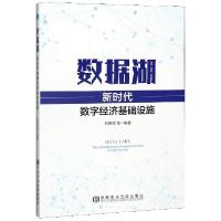 正版新书]数据湖(新时代数字经济基础设施)编者:林拥军978750356