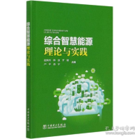 正版新书]综合智慧能源理论与实践赵风云9787519843632