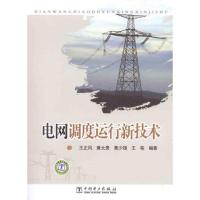 正版新书]电网调度运行新技术王正风9787512323261