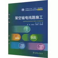 正版新书]架空输电线路施工李宏 编9787519874865