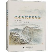 正版新书]配电网灾害与防治陈9787519841744