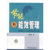 正版新书]节能与能效管理杨志荣 著9787508391601