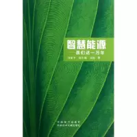 正版新书]智慧能源 :我们这一万年刘建平9787512342910