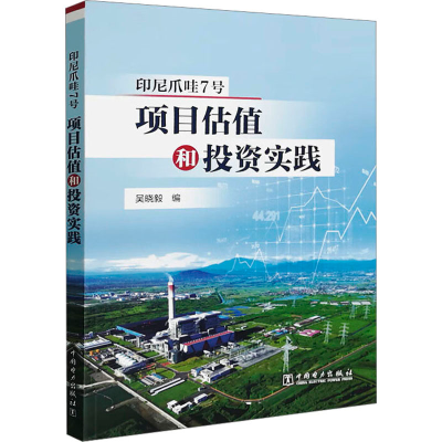 正版新书]印尼爪哇7号项目估值和投资实践吴晓毅 编978751987765