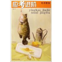 正版新书]应考进阶(色彩静物)嵇旭9787518010899