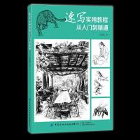 正版新书]速写实用教程(从入门到精通)倪政鹏 著9787518081653