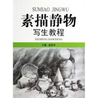 正版新书]素描静物写生教程俞进军9787802271982