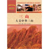 正版新书]建筑师的作品集:规划、设计与制作安德烈亚斯·吕舍尔9
