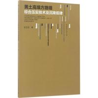 正版新书]黄土高填方路堤综合压实技术及沉降规律巨玉文 著97871