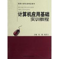 正版新书]计算机应用基础实训教程张毓 杨克玉 著9787312030963