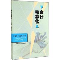 正版新书]会计电算化王茂明,马思策 主编 著9787312035258