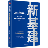 正版新书]新基建 数字经济重构经济增长新格局袁国宝 著97875136