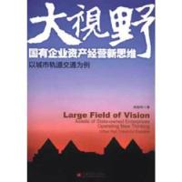 正版新书]大视野 国有企业资产经营新思维高踪阳著9787513621595