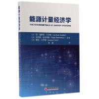 正版新书]能源计量经济学(法)简·霍斯特·开普勒//里吉斯·波旁奈