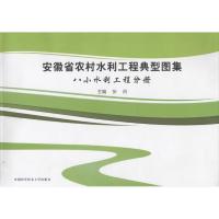 正版新书]安徽省农村水利工程典型图集张肖 主编 著978731203922