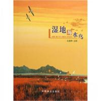 正版新书]正版 湿地与水鸟/庄晨辉 编/中国林业出版社庄晨辉 编