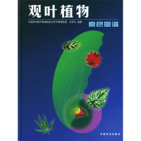 正版新书]观叶植物原色图谱(精)林侨生9787109073623