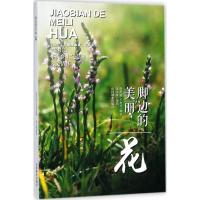 正版新书]脚边的美丽陶隽超,王金虎 编著;张亿锋 摄影978750389