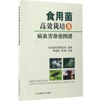 正版新书]食用菌高效栽培及病虫害诊治图谱陈福如9787109224117