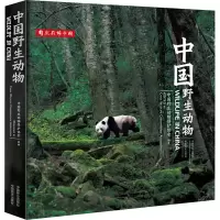 正版新书]中国野生动物中国野生动物保护协会9787521914580