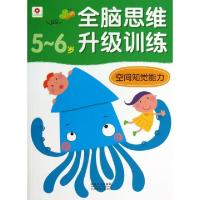 正版新书]空间知觉能力(5-6岁)/全脑思维升级训练北京小红花图书