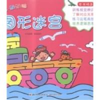 正版新书]图形迷宫张晋霖文9787518401369