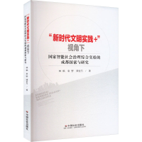 正版新书]“新时代文明实践+”视角下国家智能社会治理综合实验