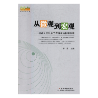 正版新书]从微观到宏观:流动人口社会工作服务项目案例集李真主