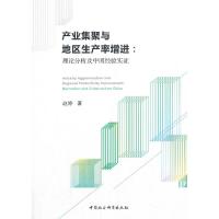 正版新书]产业集聚与地区生产率增进:理论分析及中国经验实证:me