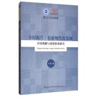 正版新书]国宏智库青年丛书乡村振兴:农业现代化发展/市场机制与