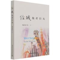 正版新书]绘城 他者目光杨俭波9787520389693