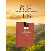 正版新书]落脚县城:县域城镇化的农民参与机制研究朱战辉 著9787