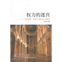 正版新书]权力的迷宫--埃利亚斯、布迪厄与福柯的比较研究王树生