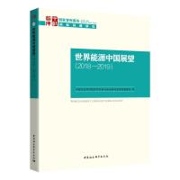 正版新书]世界能源中国展望(2018-2019)中国社会科学院世界经济