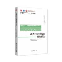 正版新书]江西吉安渼陂村调研报告北京大学国家发展研究院《经济