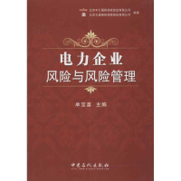 正版新书]电力企业风险与风险管理牟宝喜 编 著9787511417954