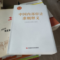 正版新书]中国内部审计准则释义中国内部审计准则释义编写组9787