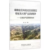 正版新书]碳酸盐岩风化壳岩溶储层特征及天然气富集规律:以靖边
