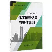 正版新书]化工原理仿真与操作实训王宏,张甲,唐靖 著 著97875114