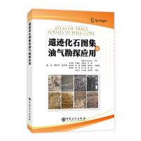 正版新书]遗迹化石图集及油气勘探应用(德)德克·克努斯特9787511