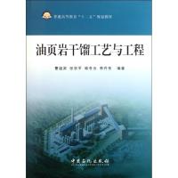 正版新书]油页岩干馏工艺与工程曹祖宾 著9787511411051