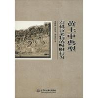 正版新书]黄土中典型有机污染物的吸附行为蒋煜峰9787517065746