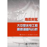 正版新书]汶川地震灾区大中型水电工程震损调查与分析 (精装)晏