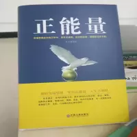 正版新书]正能量弘丰9787519021931