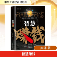 正版新书]智慧赚钱奕泽 著 著9787515842820